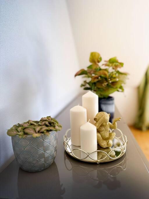 V Centru Deni Apartment Оломоуц Екстериор снимка