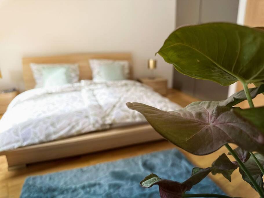 V Centru Deni Apartment Оломоуц Екстериор снимка